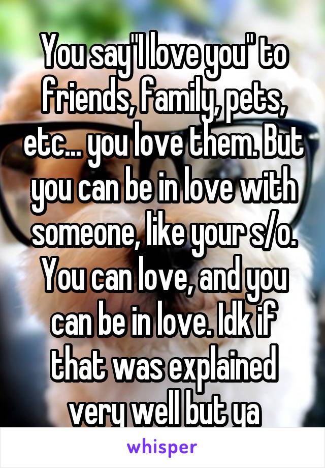 You say"I love you" to friends, family, pets, etc... you love them. But you can be in love with someone, like your s/o. You can love, and you can be in love. Idk if that was explained very well but ya