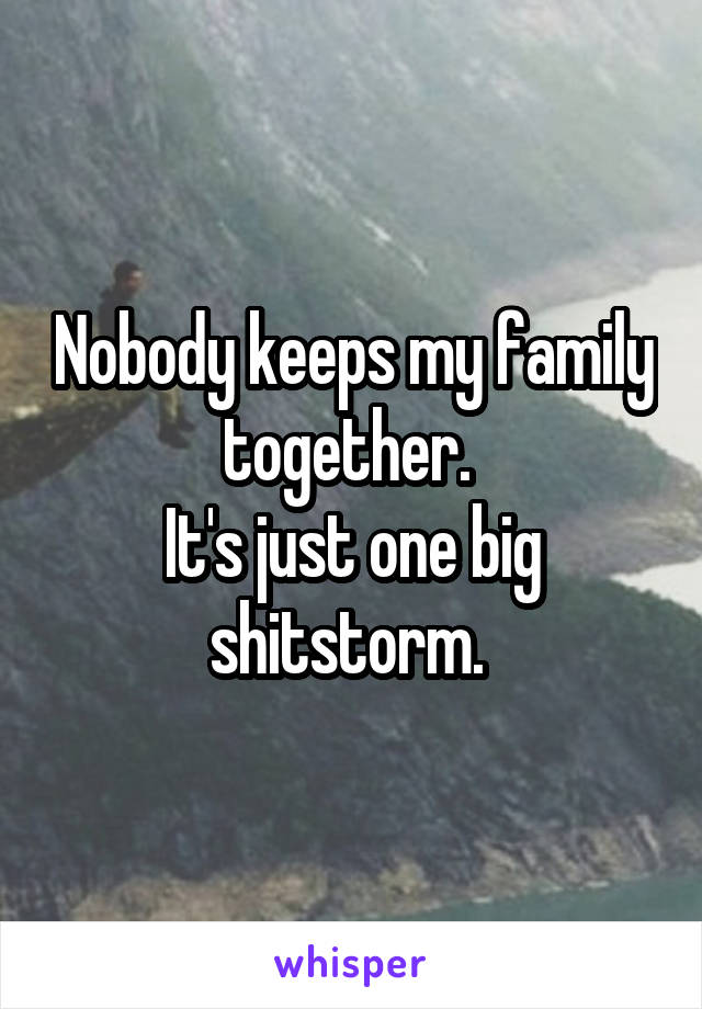 Nobody keeps my family together. 
It's just one big shitstorm. 