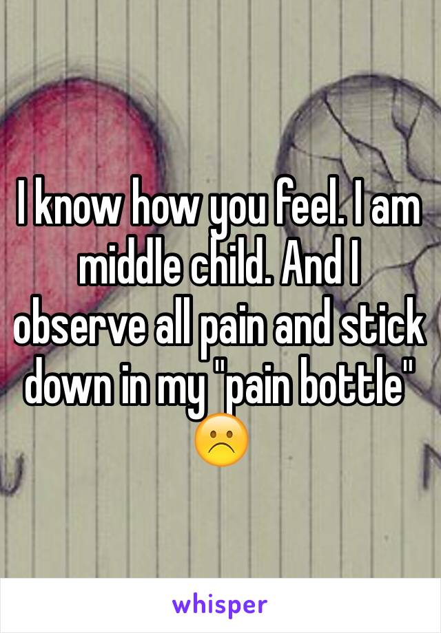 I know how you feel. I am middle child. And I observe all pain and stick down in my "pain bottle" ☹️