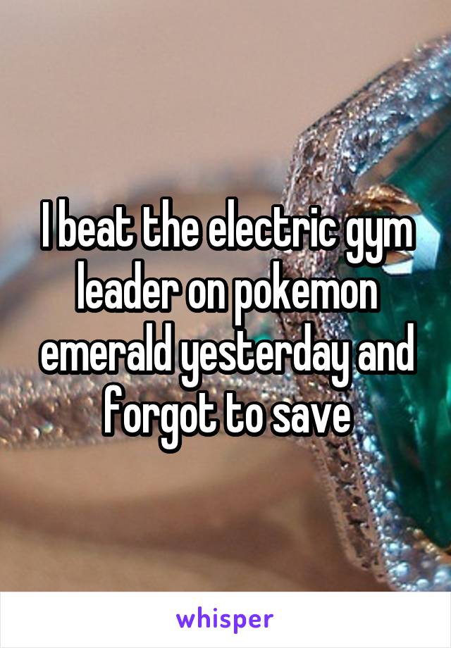 I beat the electric gym leader on pokemon emerald yesterday and forgot to save