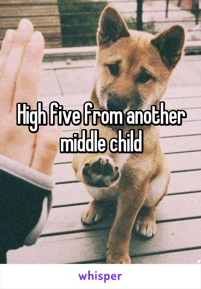 High five from another middle child
