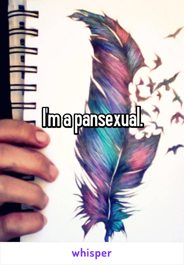 I'm a pansexual.
