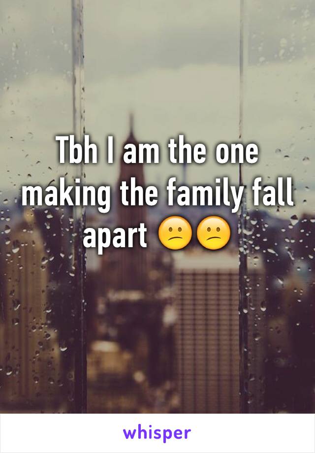 Tbh I am the one making the family fall apart 😕😕

