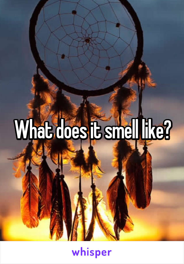 What does it smell like?
