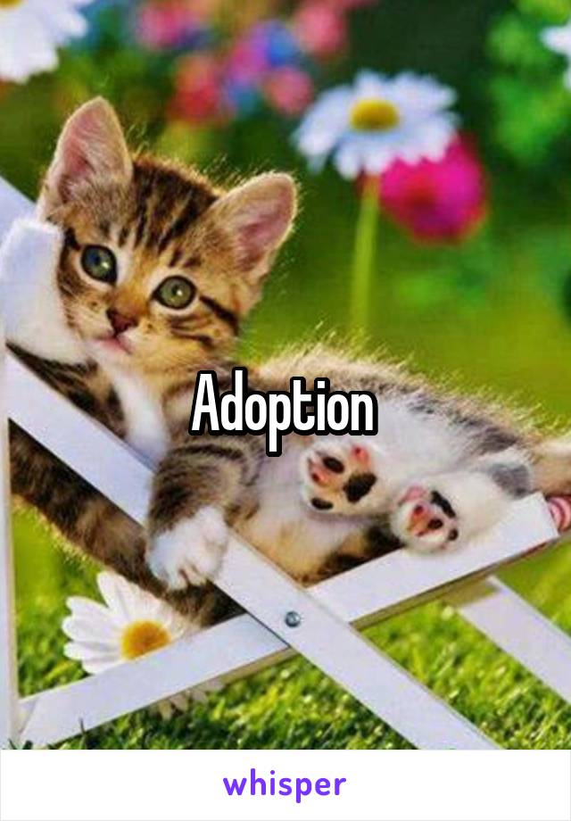 Adoption 