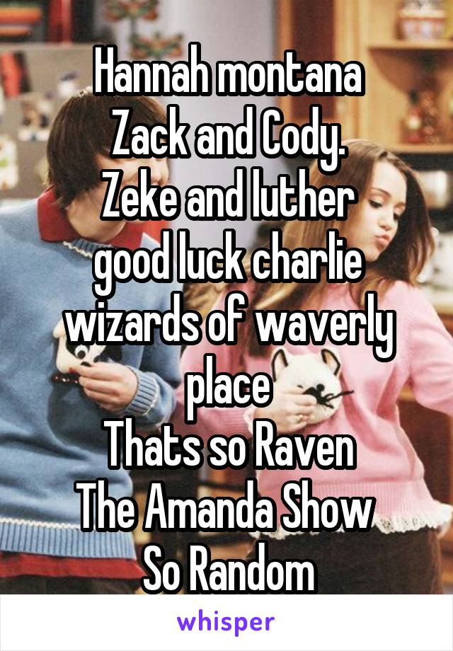 Hannah montana
Zack and Cody.
Zeke and luther
good luck charlie
wizards of waverly place
Thats so Raven
The Amanda Show 
So Random