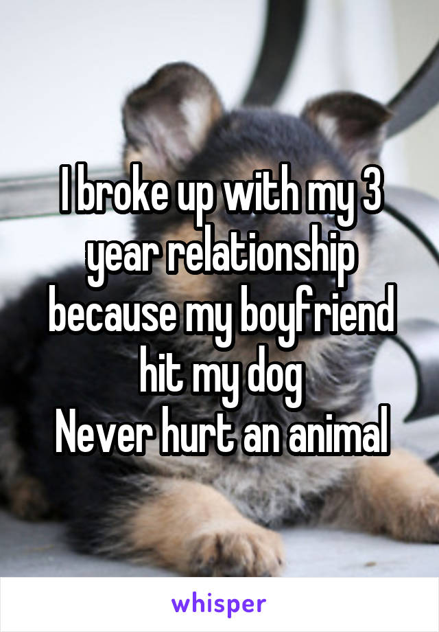 I broke up with my 3 year relationship because my boyfriend hit my dog
Never hurt an animal
