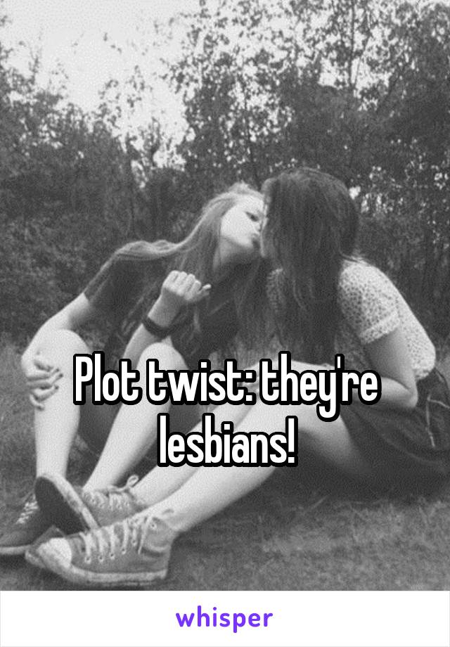 


Plot twist: they're lesbians!