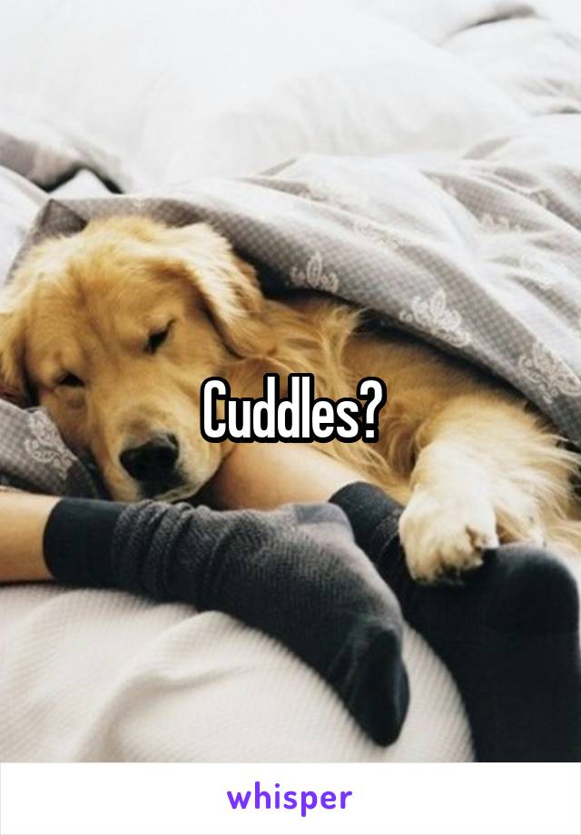 Cuddles?