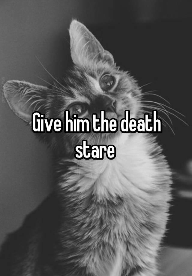 give-him-the-death-stare