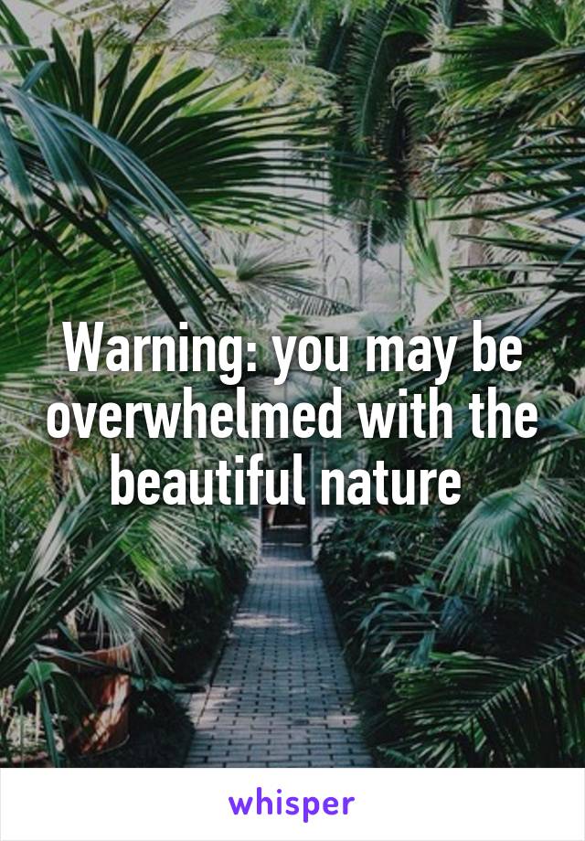 Warning: you may be overwhelmed with the beautiful nature 