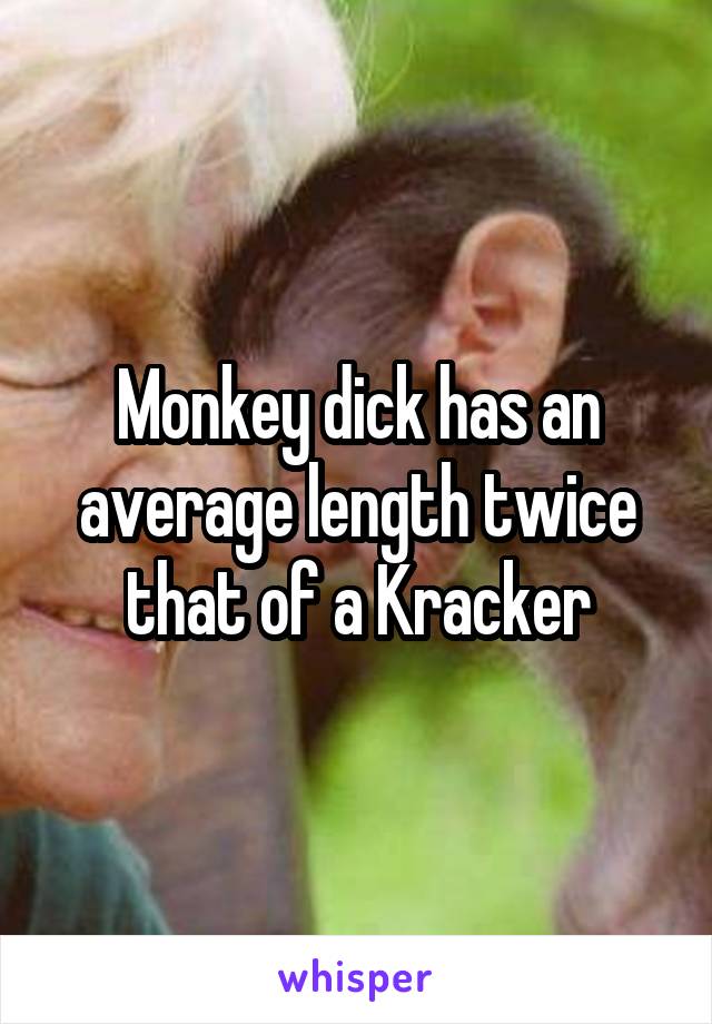 Monkey dick has an average length twice that of a Kracker