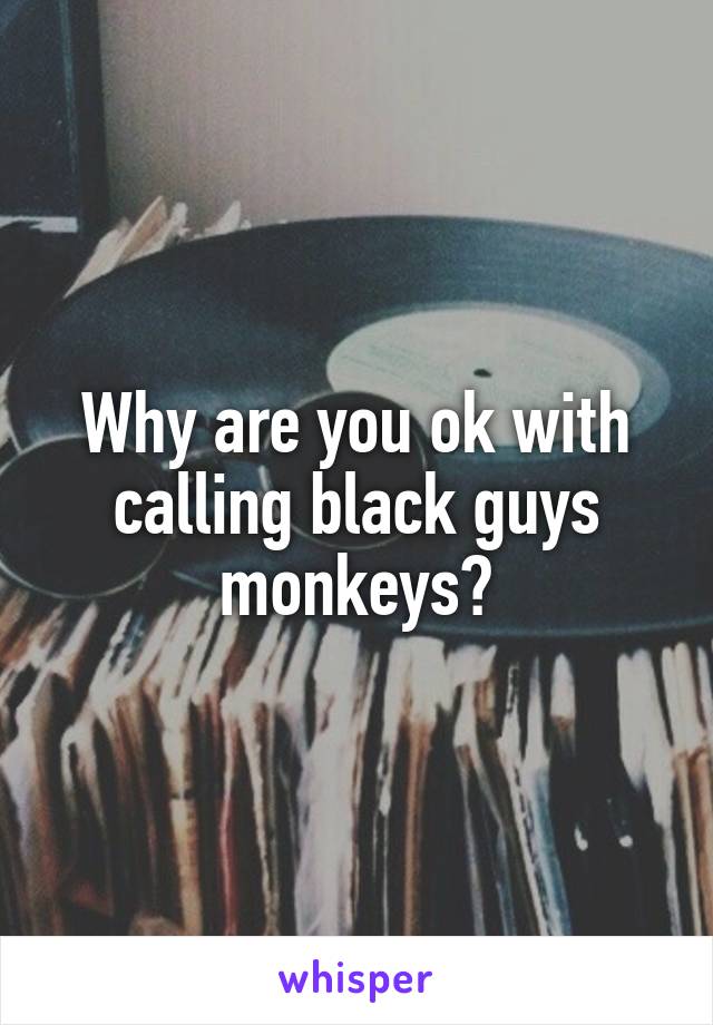 Why are you ok with calling black guys monkeys?