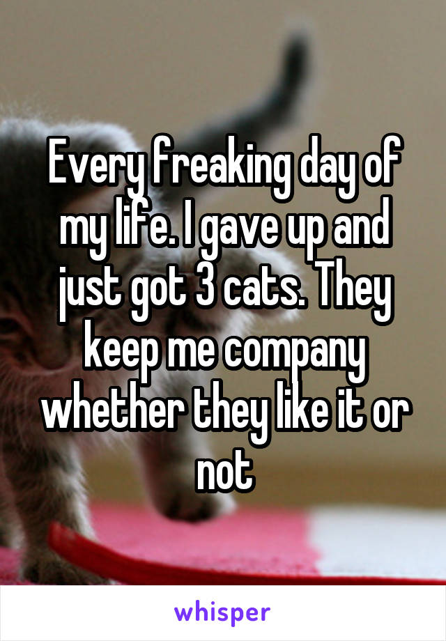 Every freaking day of my life. I gave up and just got 3 cats. They keep me company whether they like it or not