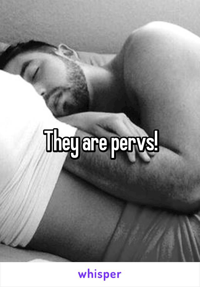 They are pervs!