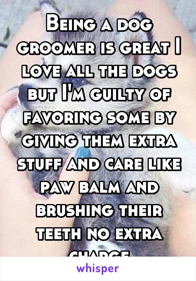 Being a dog groomer is great I love all the dogs but I'm guilty of favoring some by giving them extra stuff and care like paw balm and brushing their teeth no extra charge