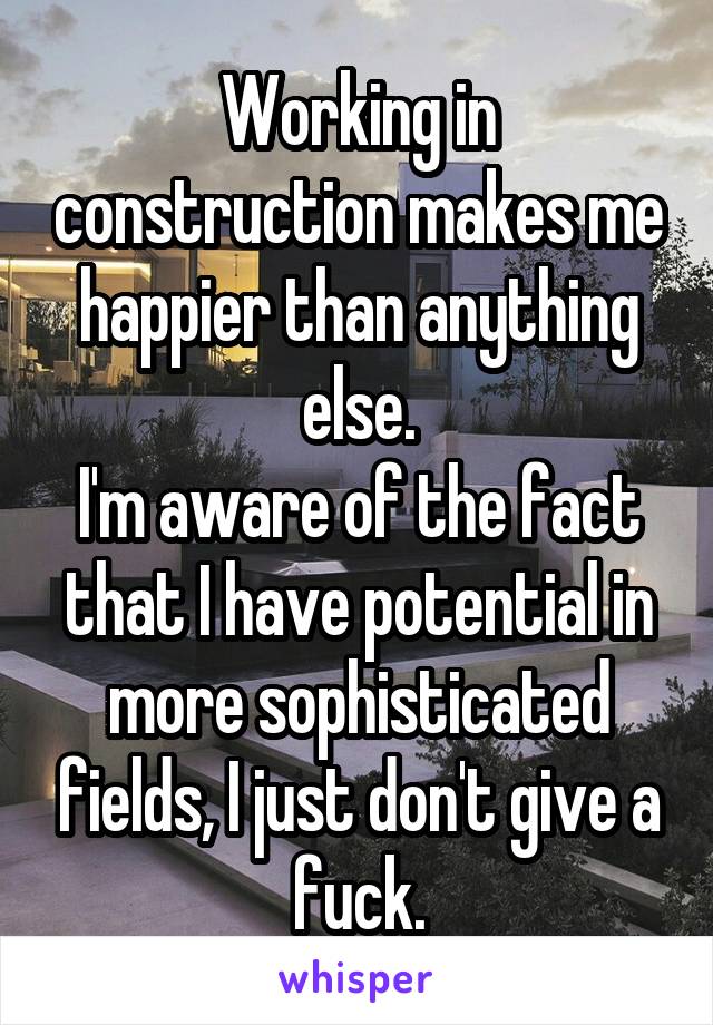 Working in construction makes me happier than anything else.
I'm aware of the fact that I have potential in more sophisticated fields, I just don't give a fuck.