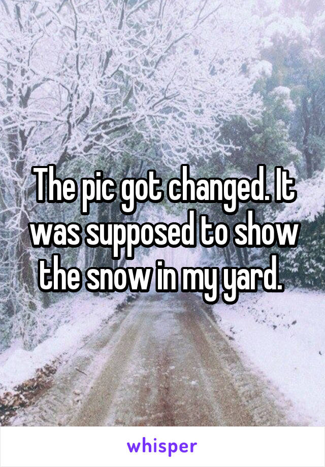 The pic got changed. It was supposed to show the snow in my yard. 