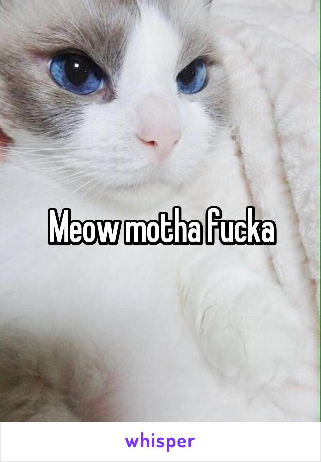 Meow motha fucka