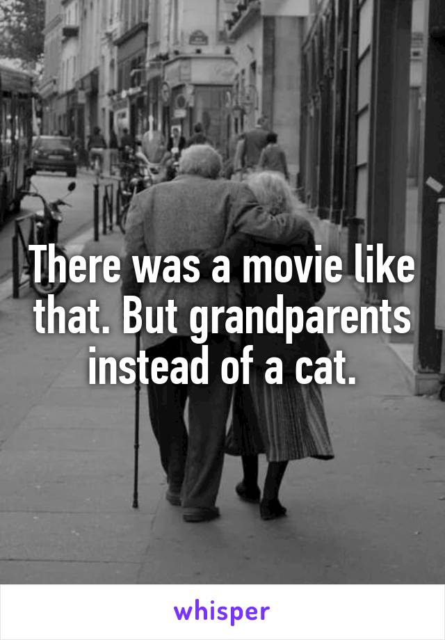 There was a movie like that. But grandparents instead of a cat.