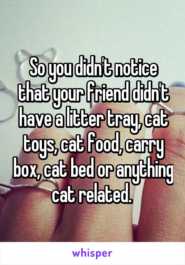 So you didn't notice that your friend didn't have a litter tray, cat toys, cat food, carry box, cat bed or anything cat related. 