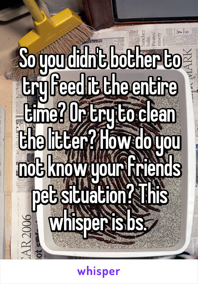 So you didn't bother to try feed it the entire time? Or try to clean the litter? How do you not know your friends pet situation? This whisper is bs. 