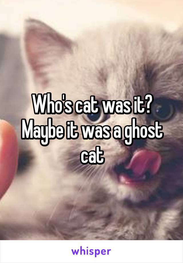 Who's cat was it?
Maybe it was a ghost cat