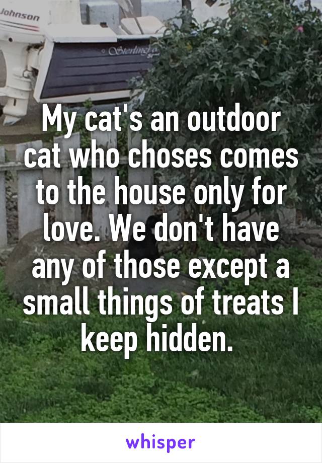 My cat's an outdoor cat who choses comes to the house only for love. We don't have any of those except a small things of treats I keep hidden. 