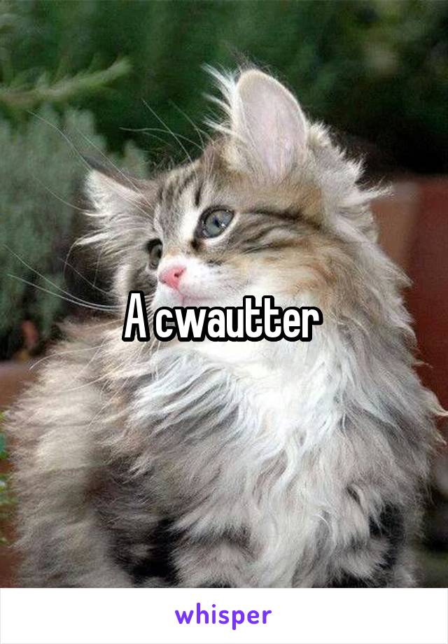 A cwautter 