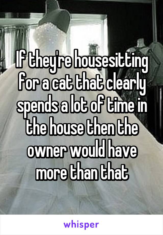 If they're housesitting for a cat that clearly spends a lot of time in the house then the owner would have more than that