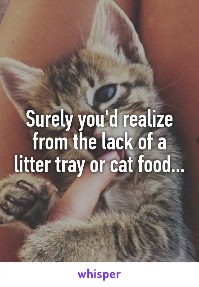 Surely you'd realize from the lack of a litter tray or cat food...