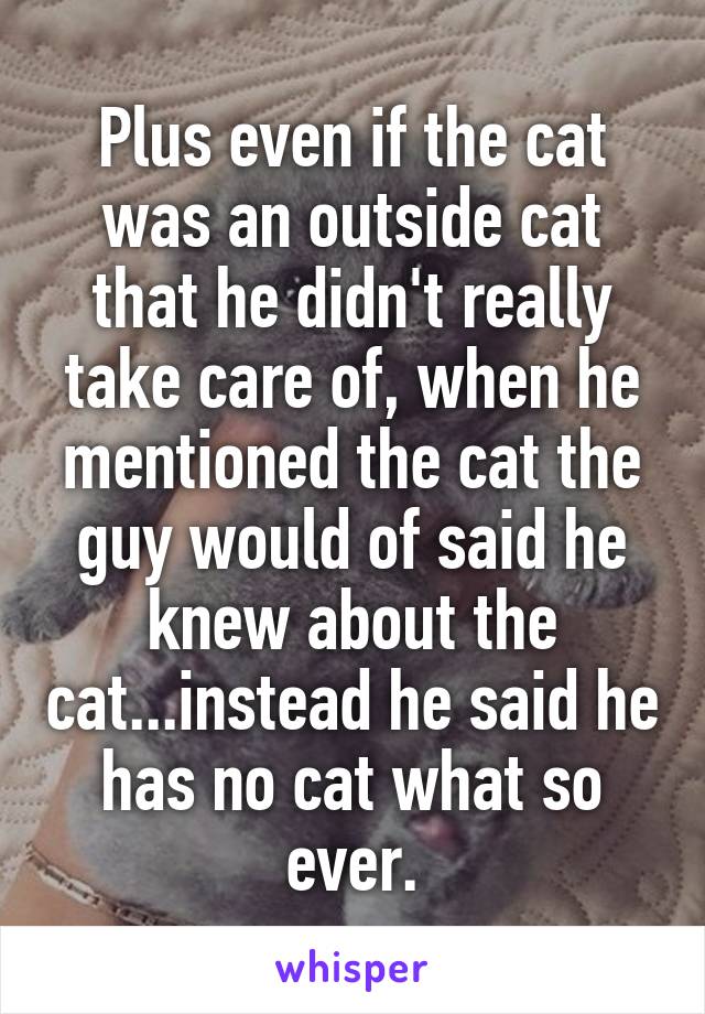 Plus even if the cat was an outside cat that he didn't really take care of, when he mentioned the cat the guy would of said he knew about the cat...instead he said he has no cat what so ever.