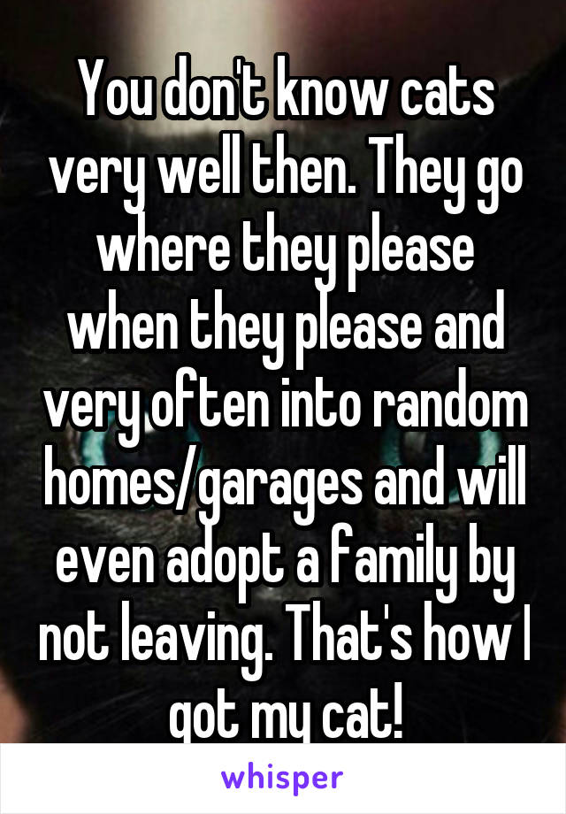 You don't know cats very well then. They go where they please when they please and very often into random homes/garages and will even adopt a family by not leaving. That's how I got my cat!