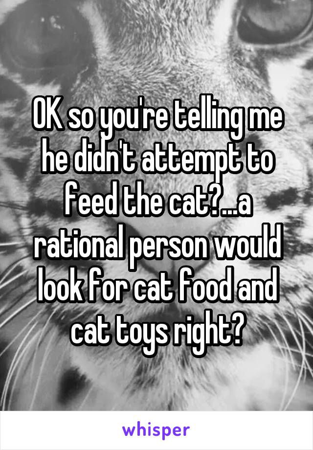 OK so you're telling me he didn't attempt to feed the cat?...a rational person would look for cat food and cat toys right?