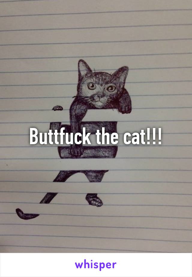 Buttfuck the cat!!!