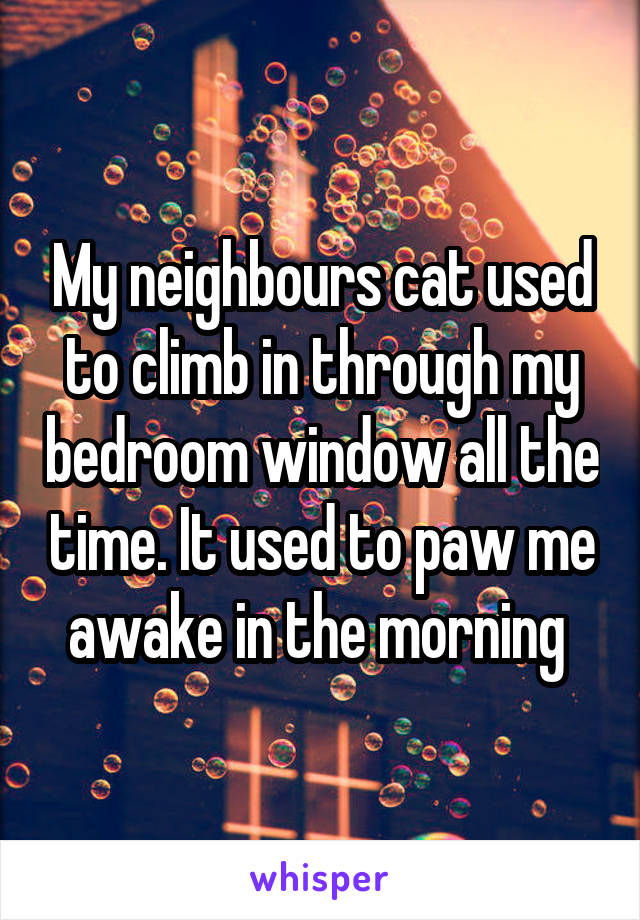 My neighbours cat used to climb in through my bedroom window all the time. It used to paw me awake in the morning 