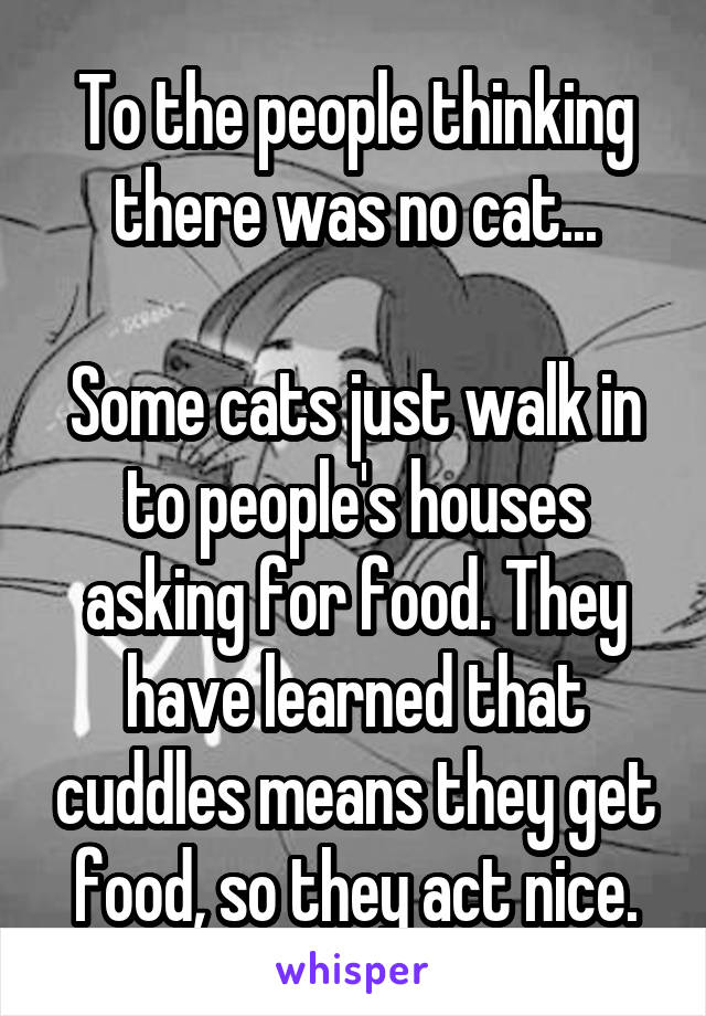 To the people thinking there was no cat...

Some cats just walk in to people's houses asking for food. They have learned that cuddles means they get food, so they act nice.