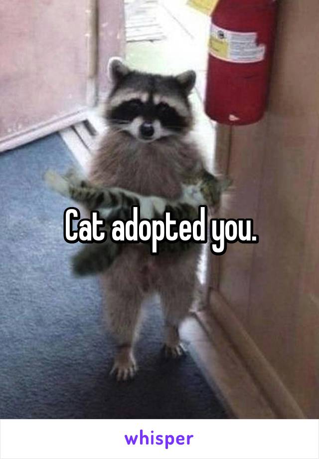 Cat adopted you.