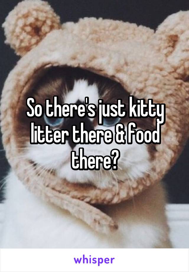 So there's just kitty litter there & food there?