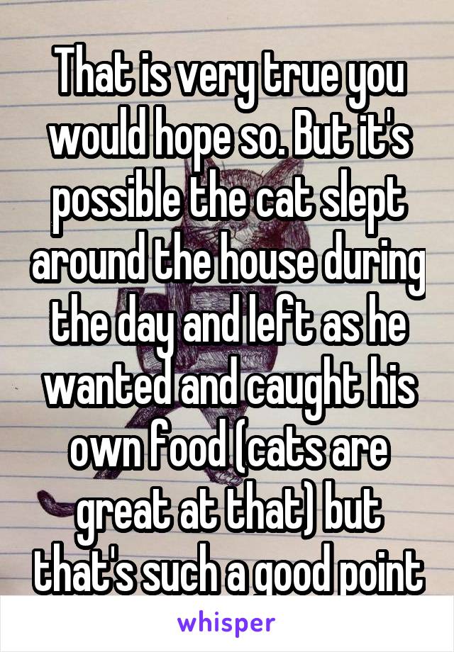 That is very true you would hope so. But it's possible the cat slept around the house during the day and left as he wanted and caught his own food (cats are great at that) but that's such a good point