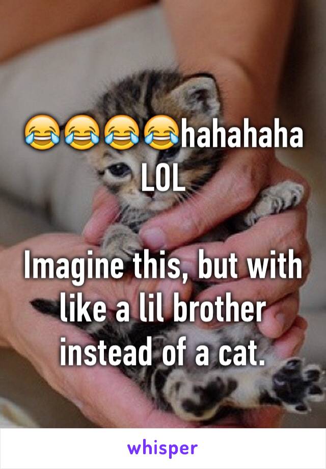 😂😂😂😂hahahaha LOL

Imagine this, but with like a lil brother instead of a cat.