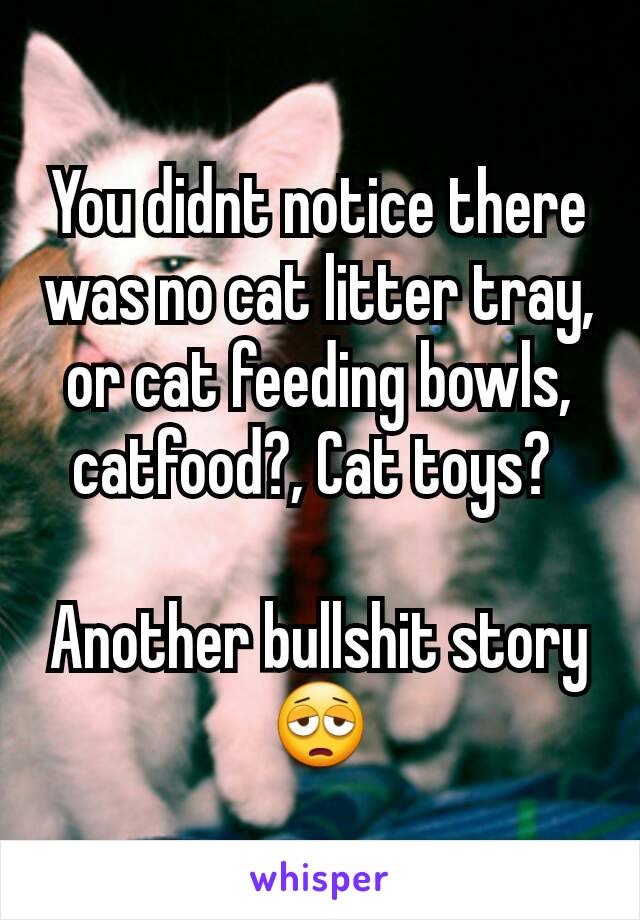 You didnt notice there was no cat litter tray, or cat feeding bowls, catfood?, Cat toys? 

Another bullshit story
😩