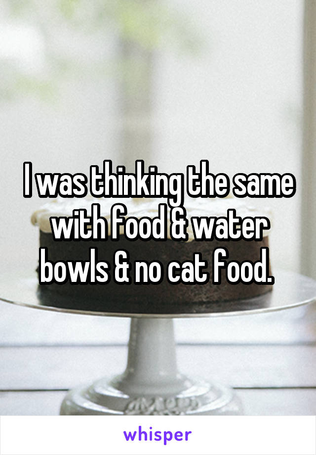 I was thinking the same with food & water bowls & no cat food. 