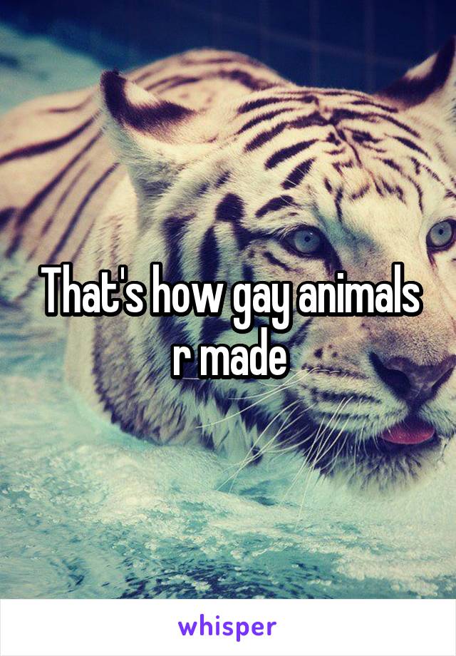 That's how gay animals r made