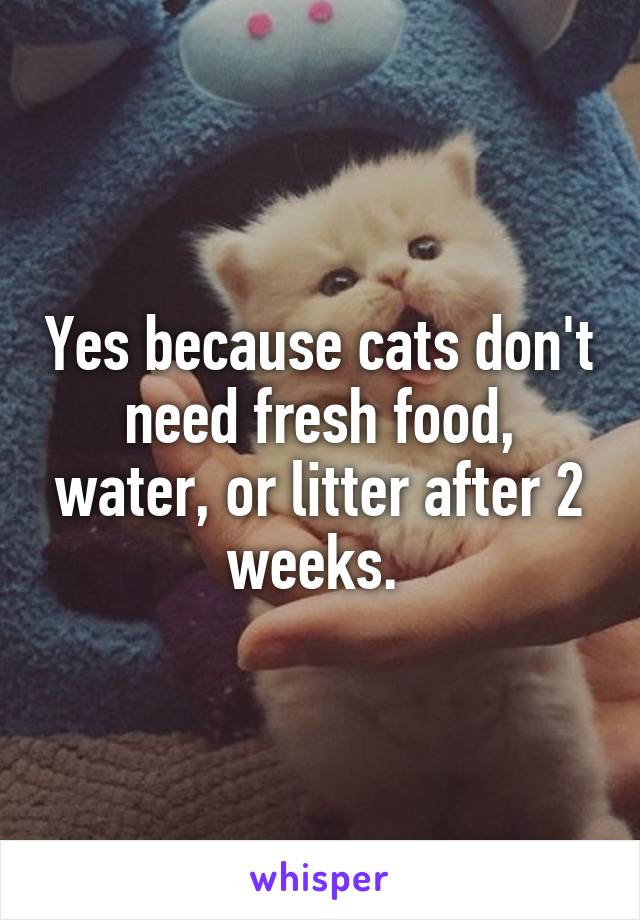 Yes because cats don't need fresh food, water, or litter after 2 weeks. 