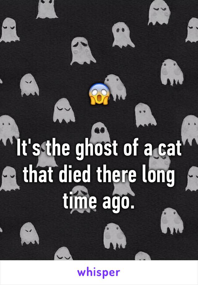 😱

It's the ghost of a cat that died there long time ago.