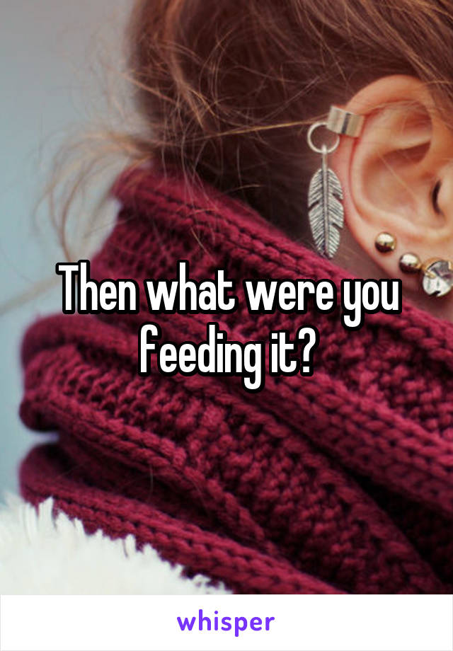 Then what were you feeding it?