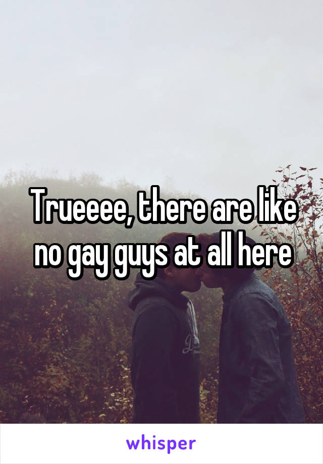 Trueeee, there are like no gay guys at all here