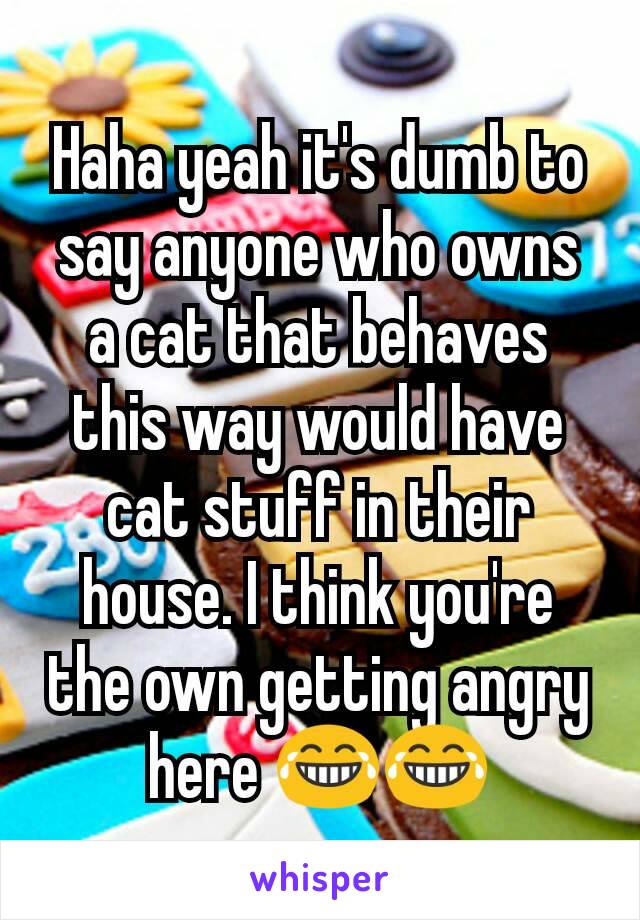 Haha yeah it's dumb to say anyone who owns a cat that behaves this way would have cat stuff in their house. I think you're the own getting angry here 😂😂