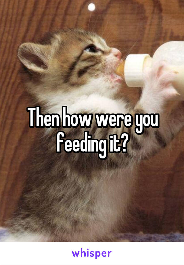 Then how were you feeding it?